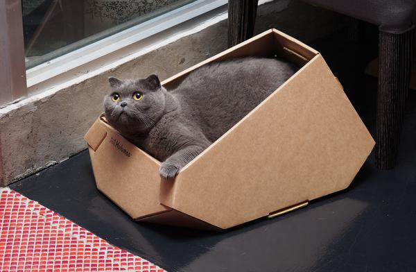 1586419256.jpg (600×392)