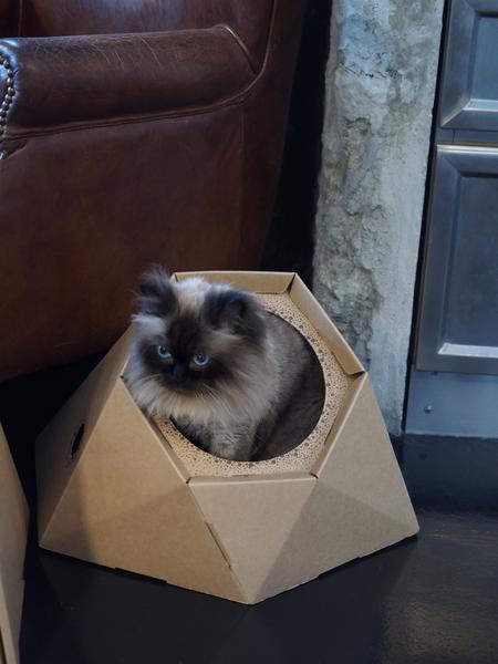 1586420694.jpg (450×600)