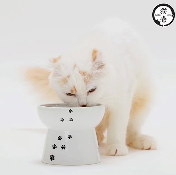 1636426702.jpg (600×594)